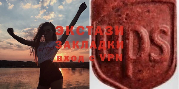 крисы Богородицк