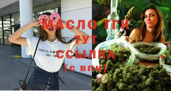 крисы Богородицк