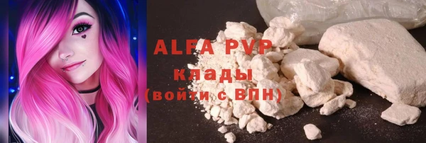 крисы Богородицк