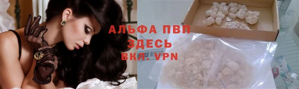 крисы Богородицк
