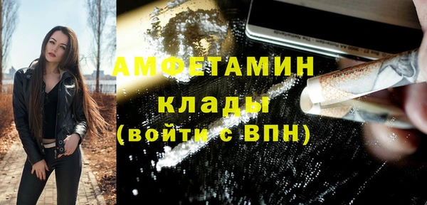 крисы Богородицк