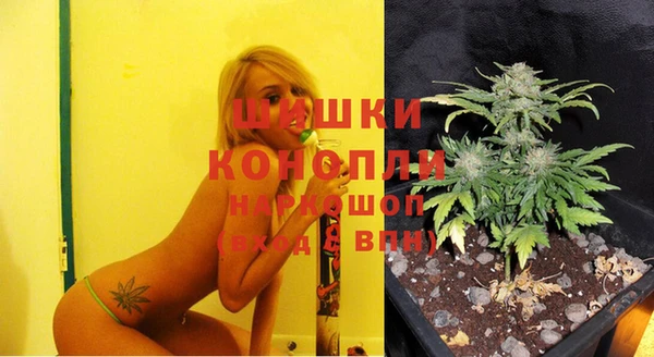 крисы Богородицк